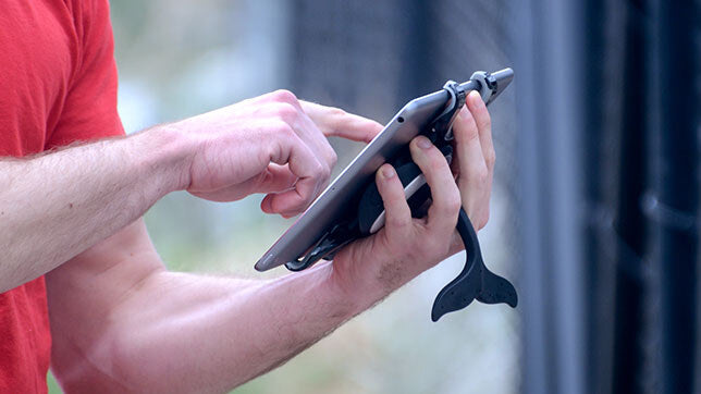 WhaleTail product image 4 (octa-whale-tail-04.jpg)